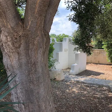 Willa Adele Monopoli,puglia Faccia di Trippa di Monte