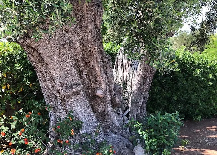 Adele Monopoli,puglia Villa